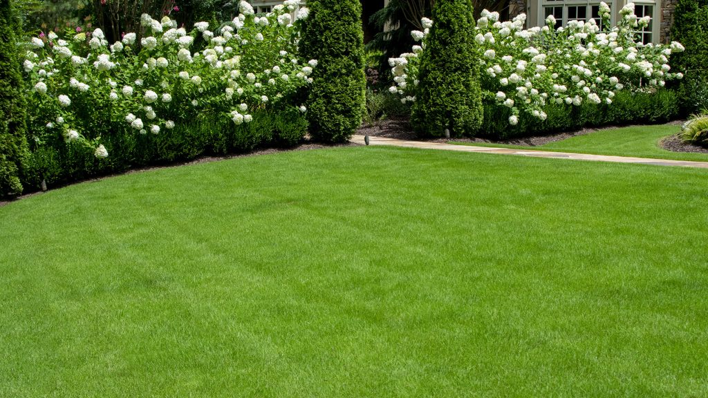 Lawn Care Treatments Spring Hill